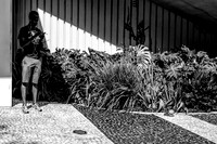 In The Shade