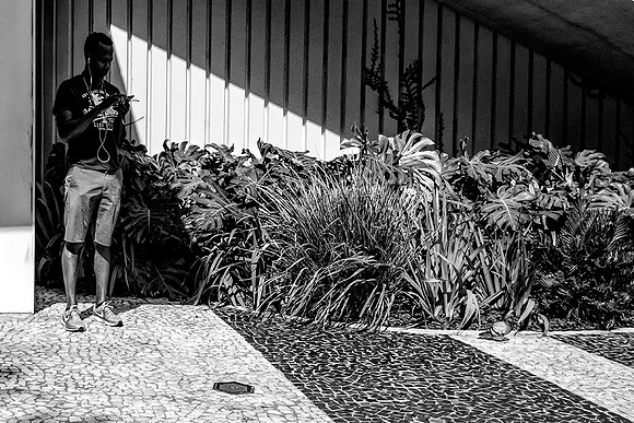 In The Shade