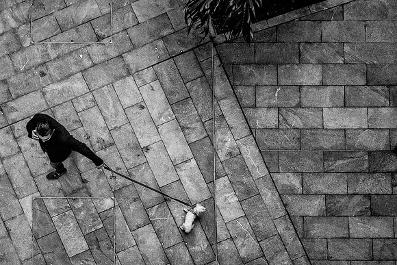 Walking The Dog