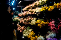 Roses Please