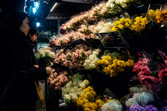 Roses Please