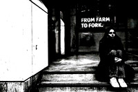 Fork