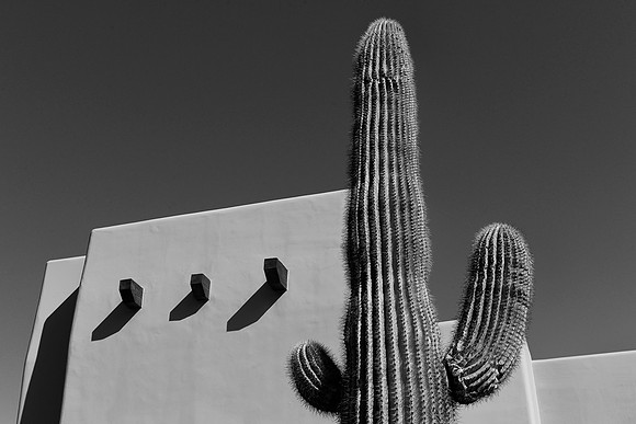 Arizona 01