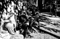 In The Shade