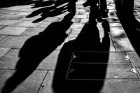 Afternoon Shadows
