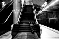 No Trains