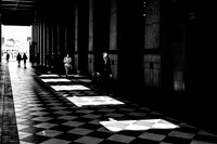 Catch The Light