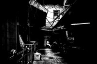 Shelter