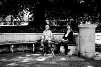 In The Shade