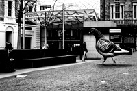 Big Bird
