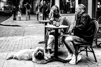 Dogs Are Allowed