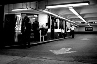 New Yorkers 11