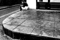 A Moment Alone