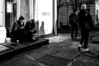 In The Winter Sun