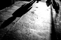Winter Sun On The Street