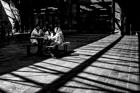 Shady Lunch