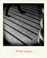 Stripe Walker