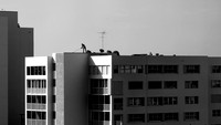 Roof Cleaning