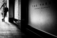 The Yard