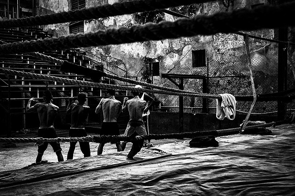 The Young Boxers