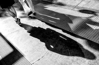 A Late Afternoon Walk