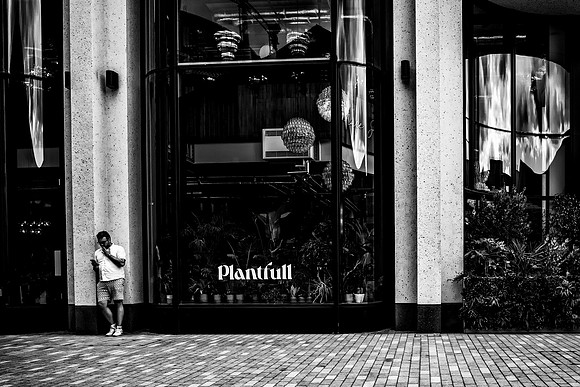 Plantfull