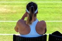 Anyone For Tennis?