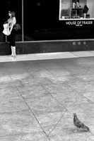 Two Birds Shopping