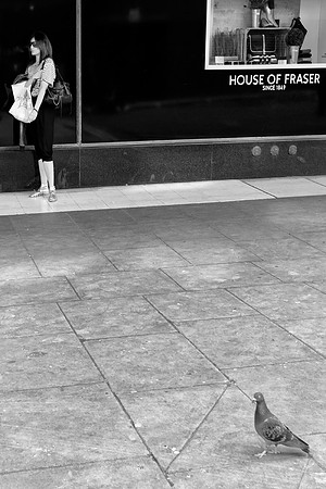 Two Birds Shopping