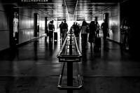 Towards The Light