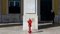 Red Hydrant