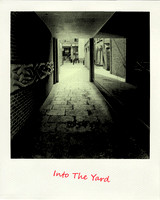 Into The Yard