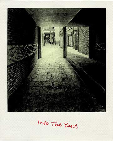 Into The Yard