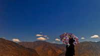 Sun Shade