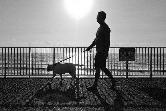 Walking The Dog