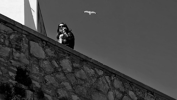 Gull and Phone Call