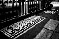 Shadows
