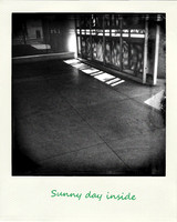 Sunny Day Inside
