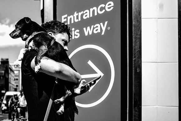 Which Way?