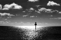 13  Out to Sea