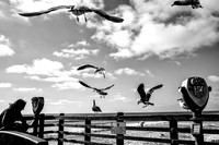 17~On The Pier