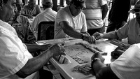 Playing Dominos