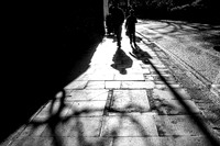 Shadows On The Street