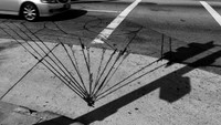 Traffic Fan