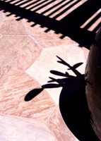 Arizona Shadows 3 of 5