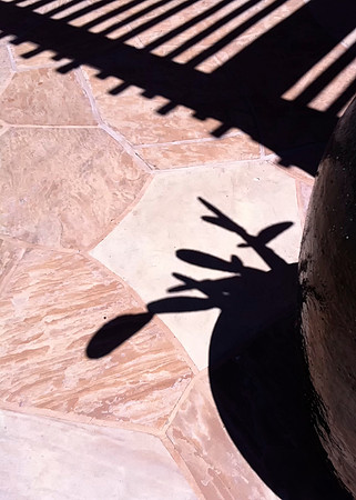 Arizona Shadows 3 of 5
