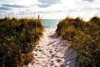 To The Beach