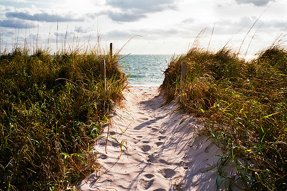 To The Beach