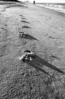 Beach Foot Steps
