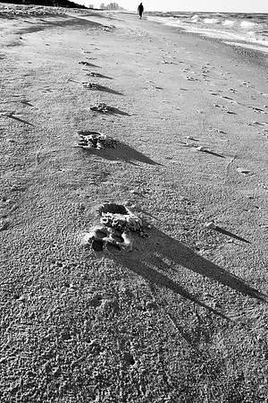 Beach Foot Steps